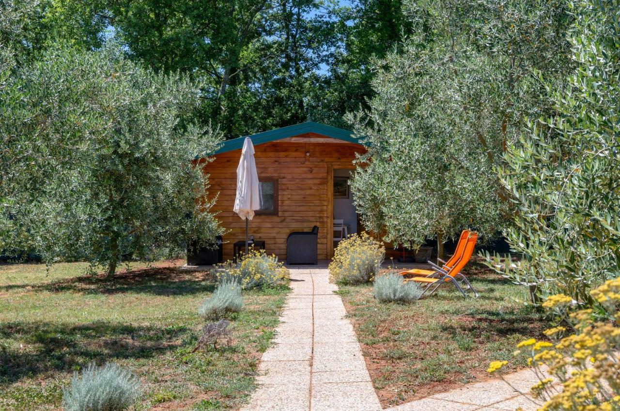 Eco Lavanda Holiday home
