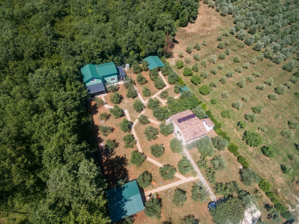 Holiday home Eco Lavanda *