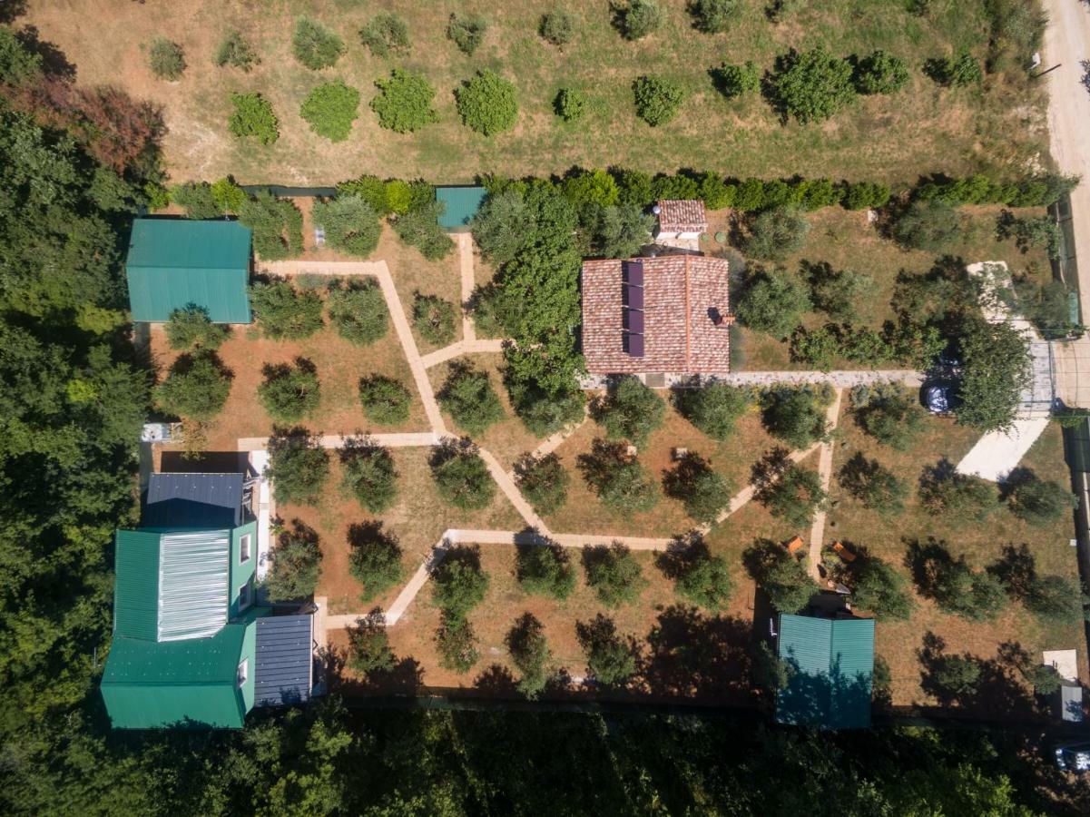 Eco Lavanda Holiday home *