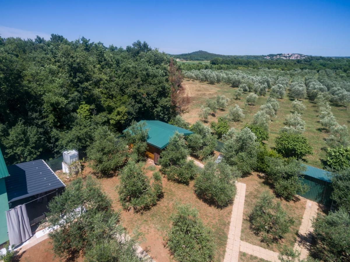 Eco Lavanda Funtana